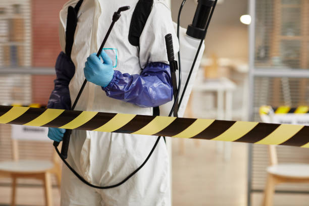 Professional Blood Cleanup technician working in Larkspur, CO